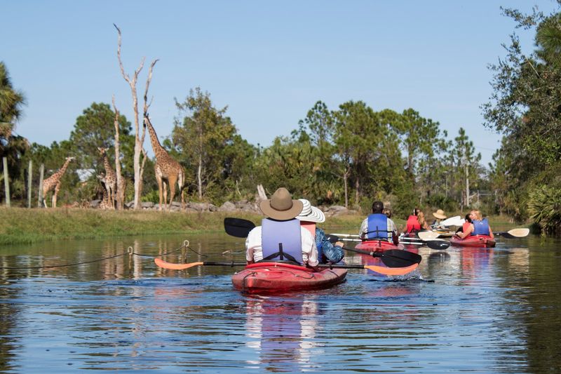 Kayaking Through Natural Habitats