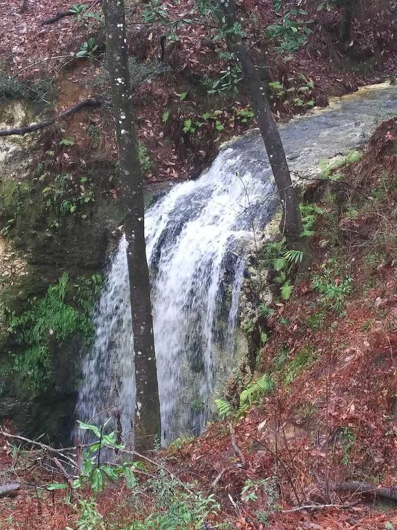 Why Falling Waters State Park deserves a spot on your Florida list