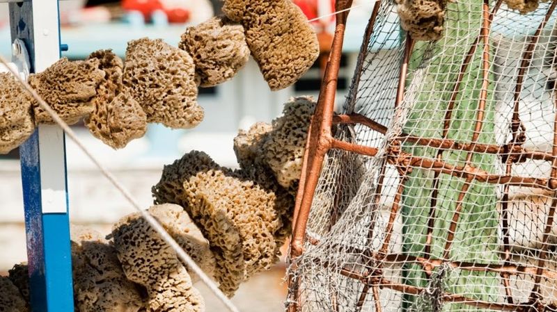 Tarpon Springs Sponge Docks — Tarpon Springs, Florida