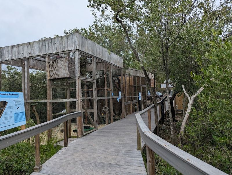 What You Will See Along the Boardwalk