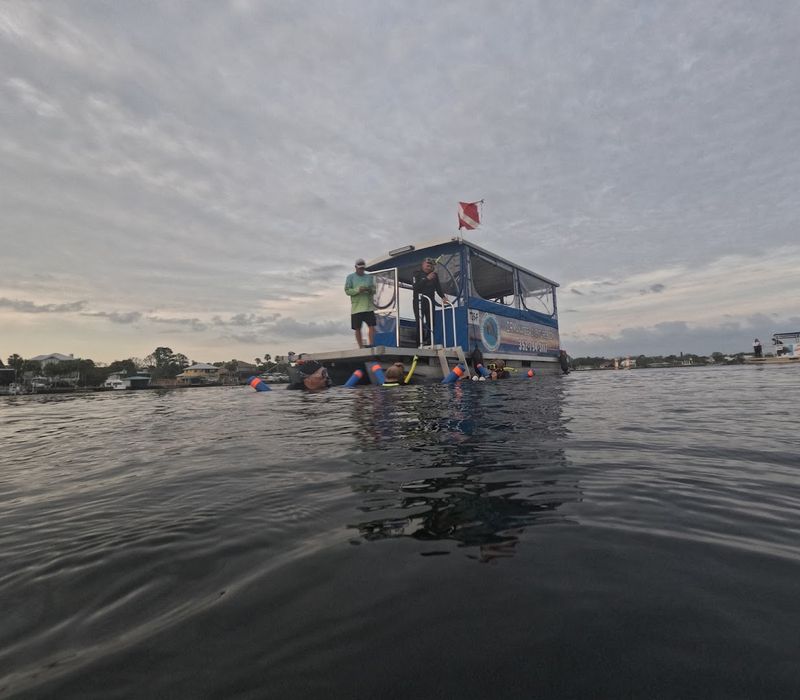 Beyond Manatees: Other Crystal River Adventures