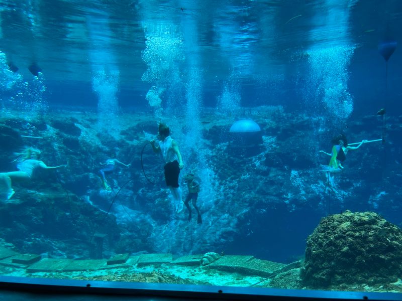 12 Florida Roadside Attractions So Strange You Have to Stop and Look