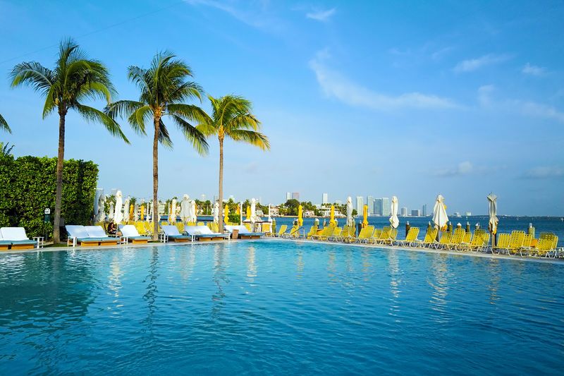 Bayfront Infinity Pool With Zero South Beach Chaos