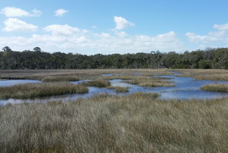 Timucuan Ecological and Historic Preserve