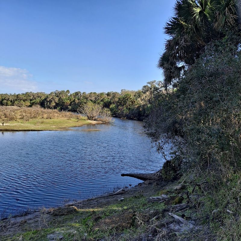 The Swimming Pond Experience