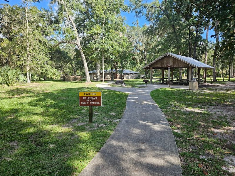 The Concession Stand and Convenience Factor