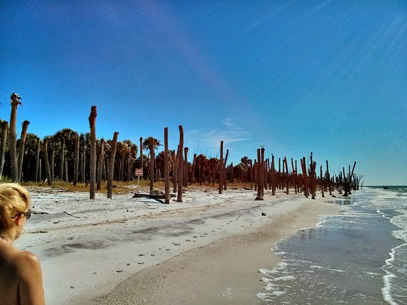 The Beaches Here Still Feel Wild