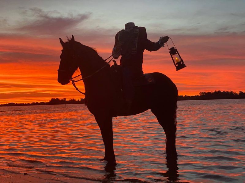 Sunset and Specialty Rides