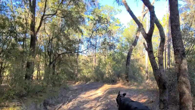 Essential Gear and Safety Tips