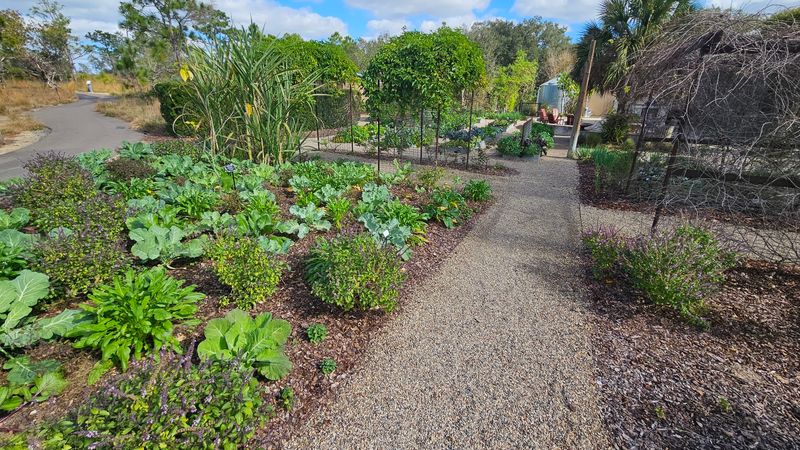 Edible Garden Teaches Growing Your Own Food