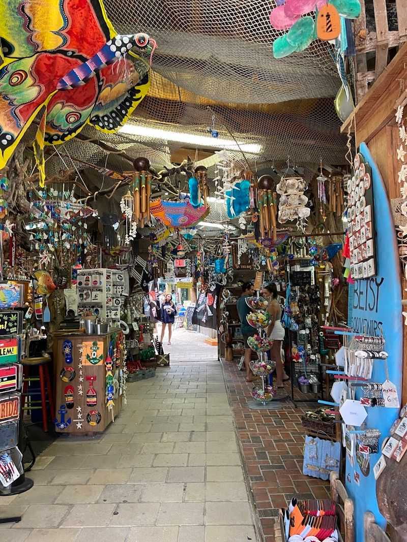 Local Artists Showcase Real Florida Talent