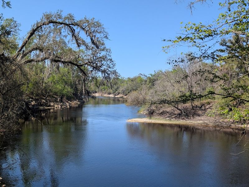 Suwannee River State Park