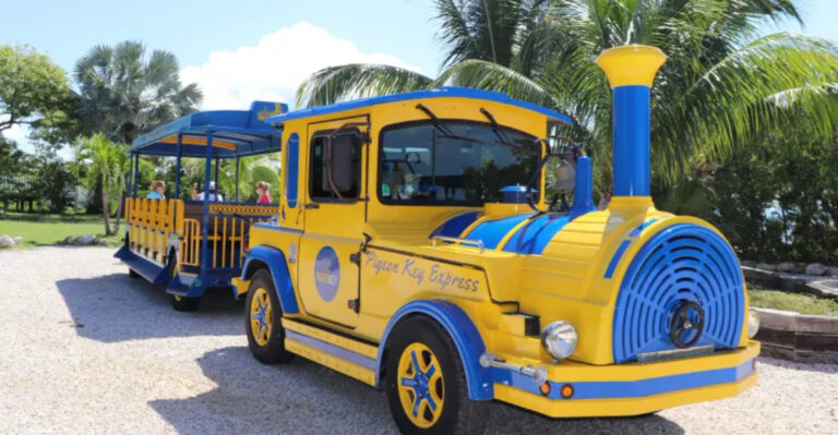 All Aboard This Florida Open-Air Train Ride for an Unforgettable Family Day