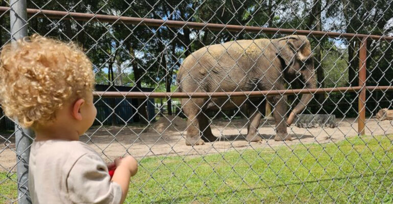 Animal Lovers Can Spend Hours Exploring These 9 Incredible Florida Farms