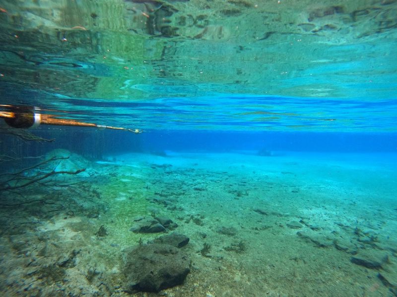 Snorkeling and Diving the Underwater Wonderland