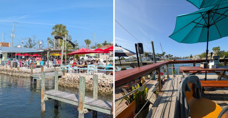 Bring Your Best Friend To These 11 Dog-Friendly Restaurants Across Florida