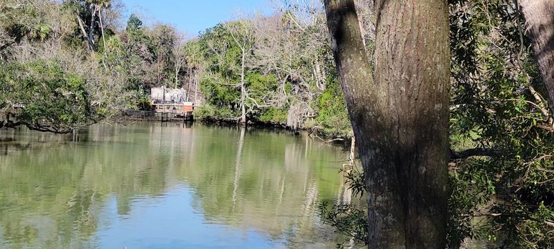 The Spring-Fed Waters Create An Aquatic Paradise