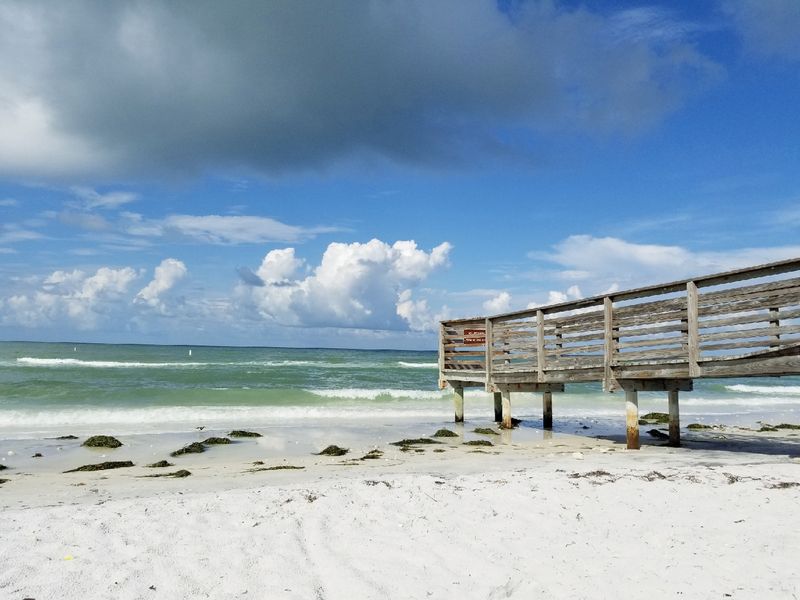 Honeymoon Island State Park — Dunedin