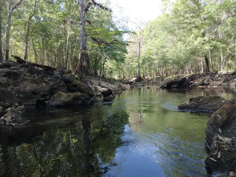 Withlacoochee State Forest