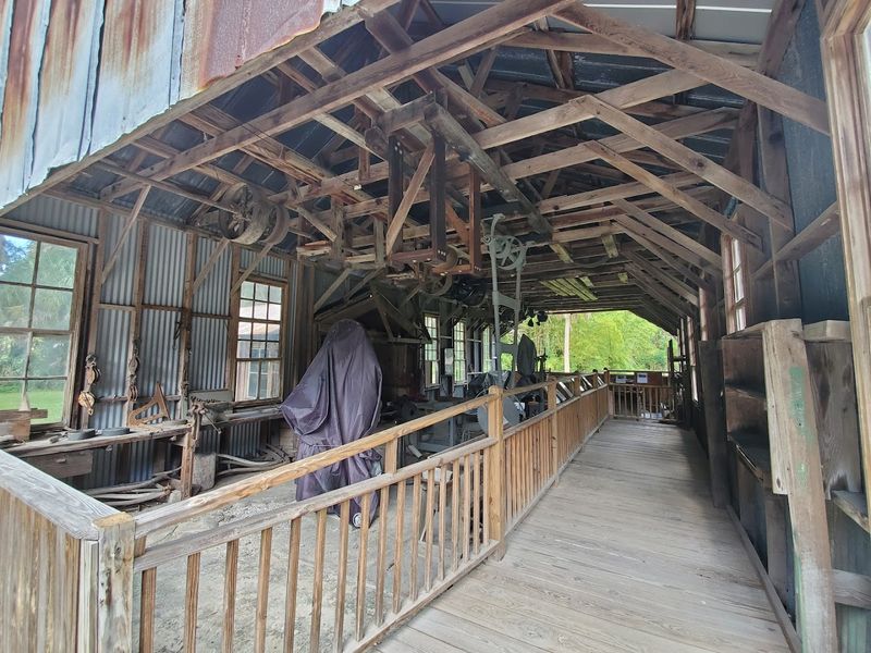 Art Hall's Cultural Treasures