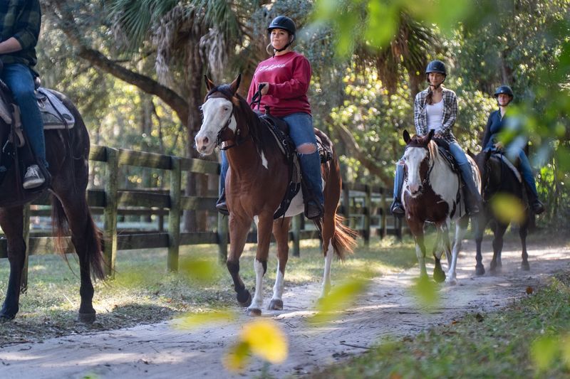 Black Prong Equestrian Village — Bronson, Florida