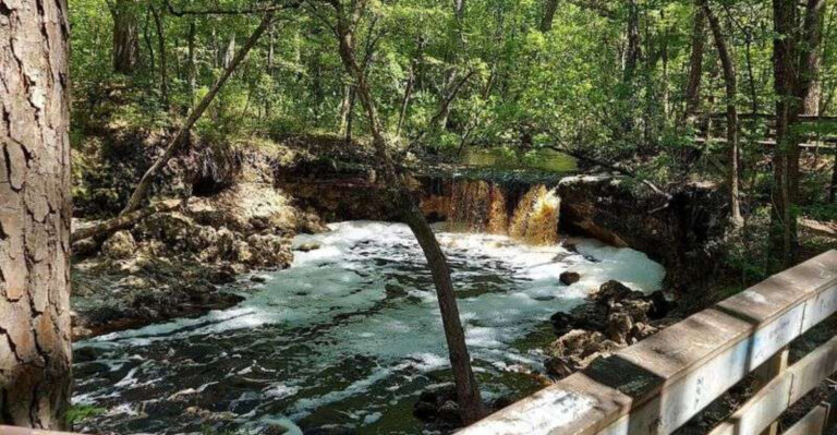 Florida Has A Peaceful Trail That Leads Straight To A Picture-Perfect Little Waterfall