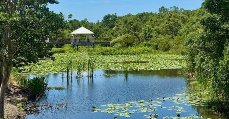 Florida Is Home to a Magical Botanical Garden, and Admission Won’t Cost You a Thing