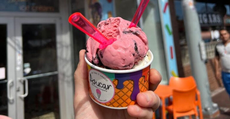 Florida’s Best Ice Cream Shop Has Been Named, And It’s A Sweet Local Favorite
