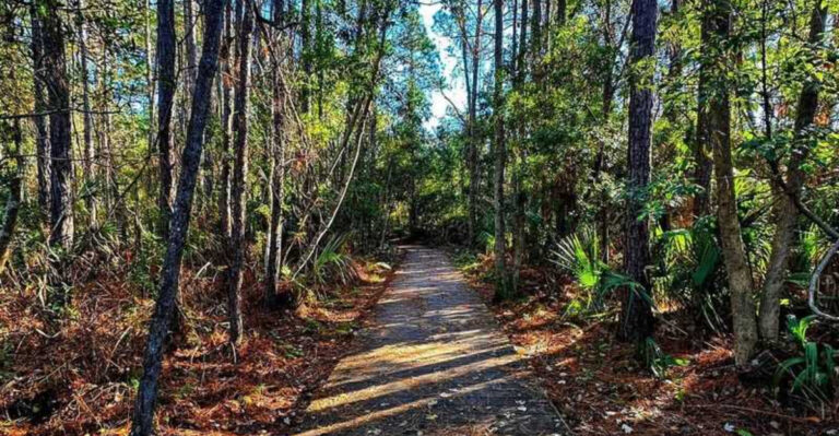 Free Parking, Free Entry, and a Scenic Overlook? This Florida Hike Is an Easy Yes