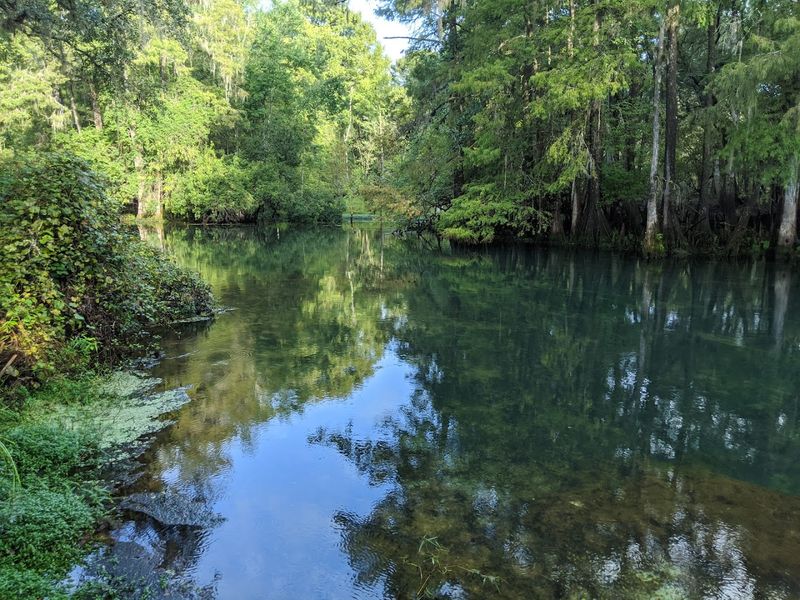 Crystal-Clear Spring Swimming That'll Take Your Breath Away
