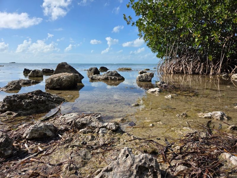Why This Sanctuary Feels Like a Hidden Keys Find