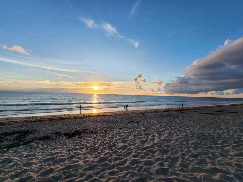 Stroll the Scenic Beachfront and Discover Natural Beauty