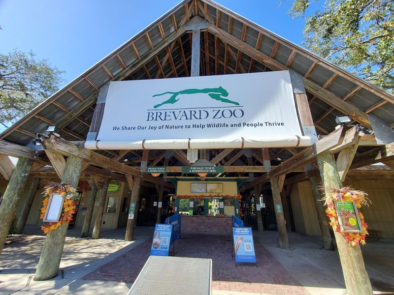 Rainforest Reptile Exhibits