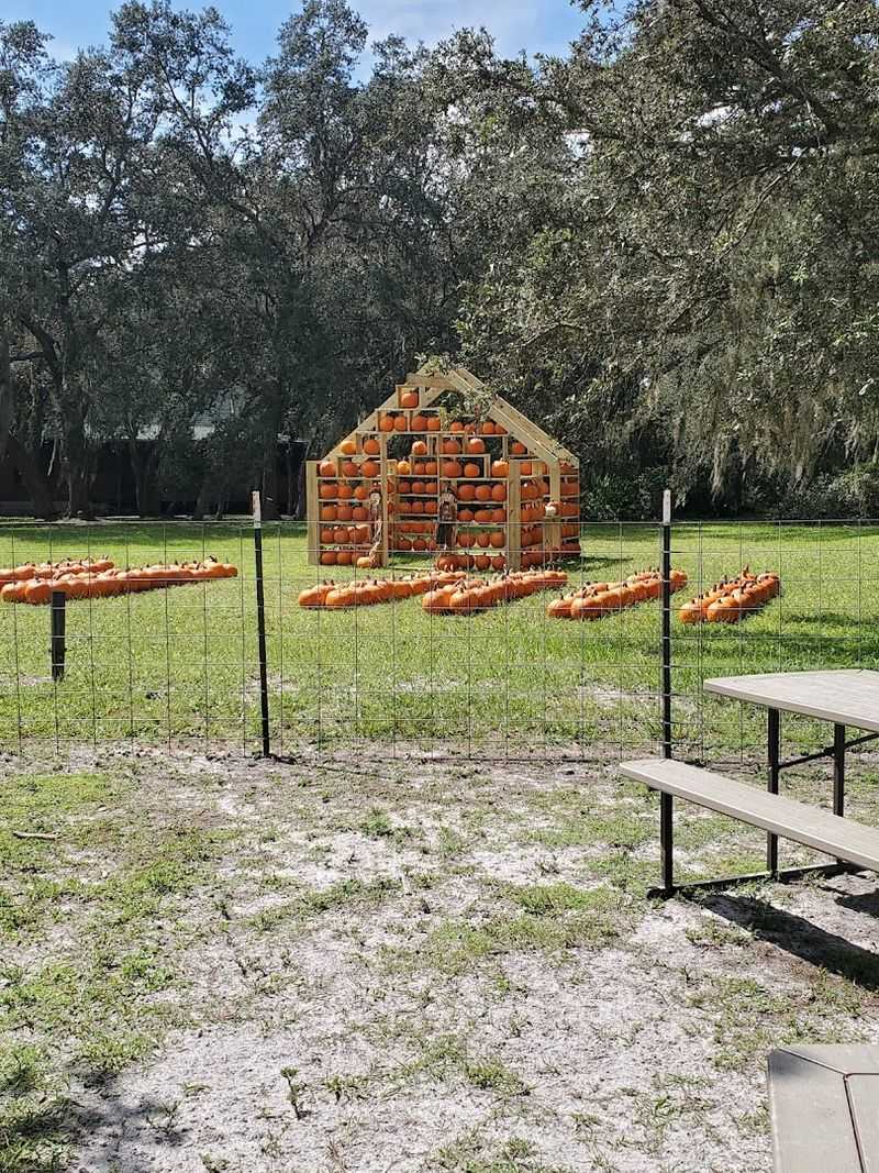 Special Events and Seasonal Experiences