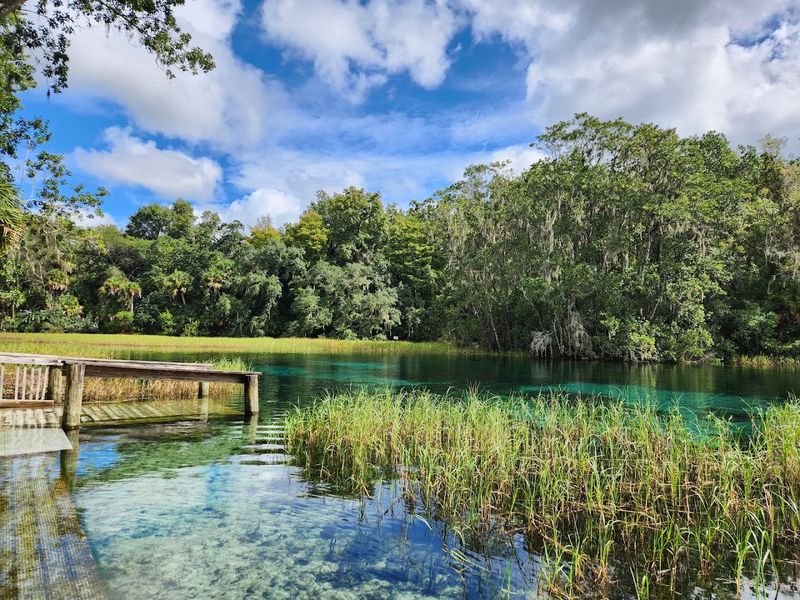 Rainbow Springs State Park Access Point
