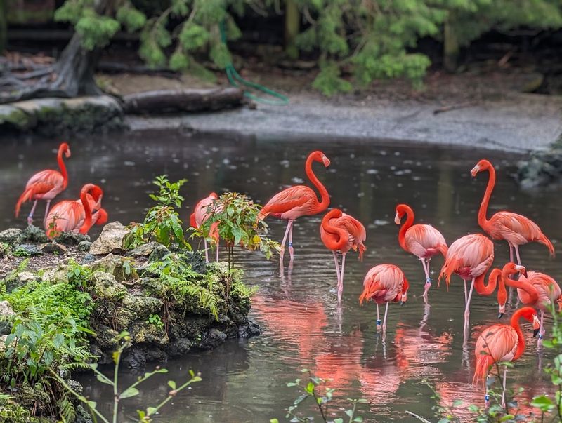 Bird Habitats Showcase Florida's Feathered Diversity