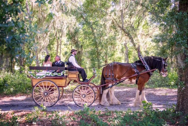 Horsepower Ranch & Events — Geneva, Florida