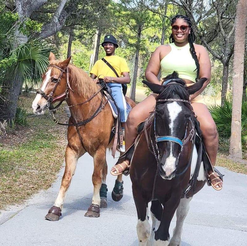Horseback Riding Tours and Adventures Cypress Breeze Farm — Pinellas Park, Florida