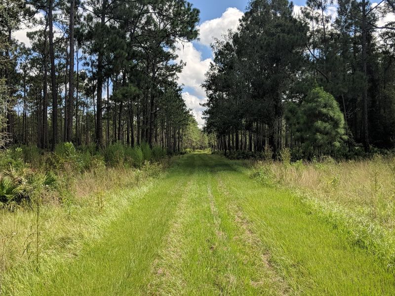 Colt Creek State Park — Lakeland