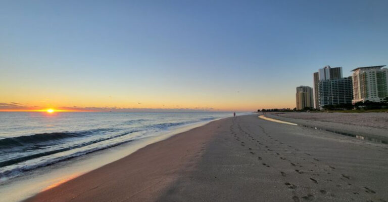 Most Beachgoers Have No Idea This Florida Spot Is Great for Shark Tooth Hunting