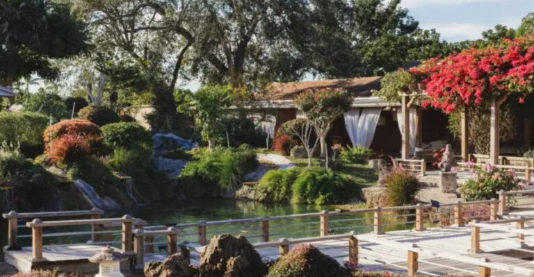 Most People Don’t Know There’s A Dreamy Koi Garden Just Outside Miami