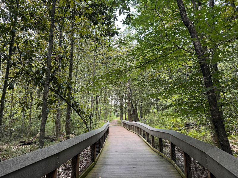 The trails are short, easy, and surprisingly scenic