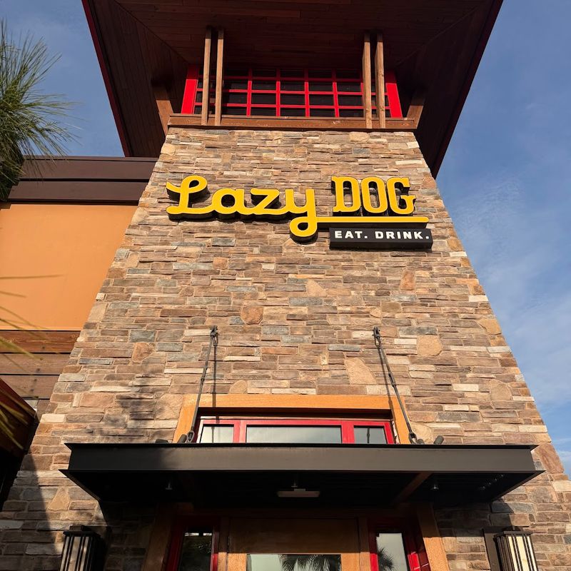 Lazy Dog Restaurant & Bar — Kissimmee