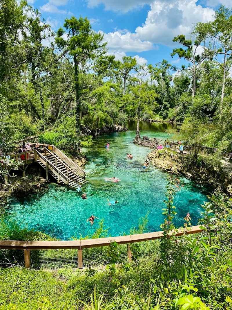 Madison Blue Spring State Park — Lee