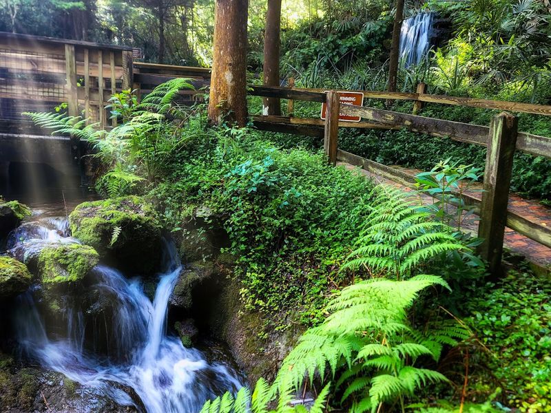 The walking trails are made for easy exploring