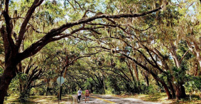 One Of Florida’s Most Peaceful Parks Feels Like A Secret Old Florida Getaway