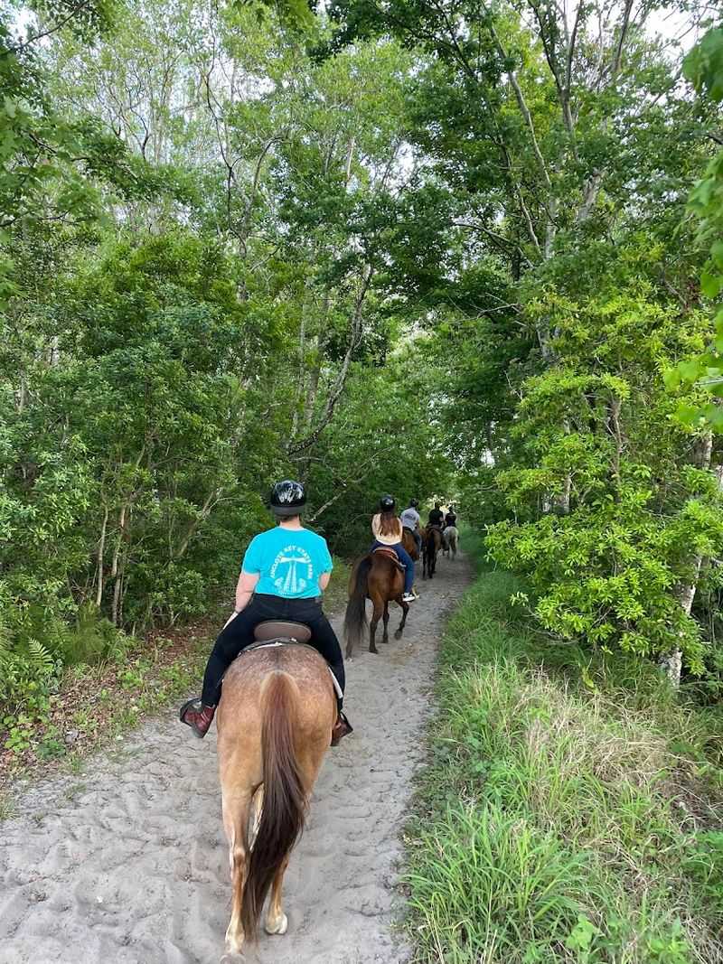 Lake Louisa State Park Equestrian Ranch — Clermont, Florida