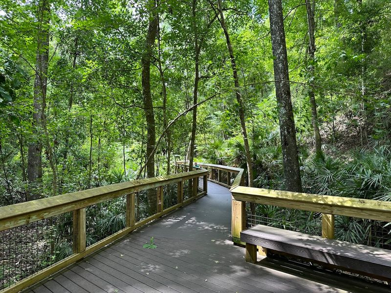 Mike Roess Gold Head Branch State Park — Keystone Heights