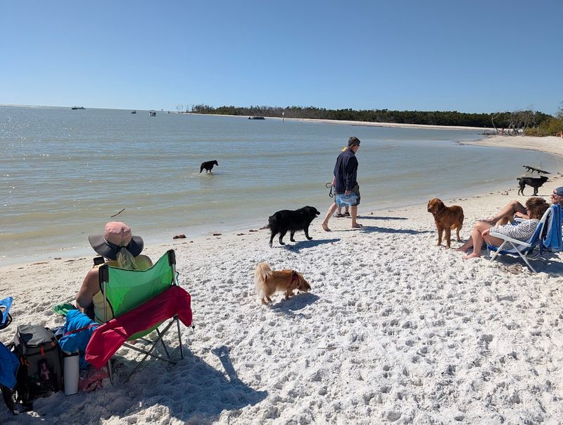 Bonita Beach Dog Park – Bonita Springs