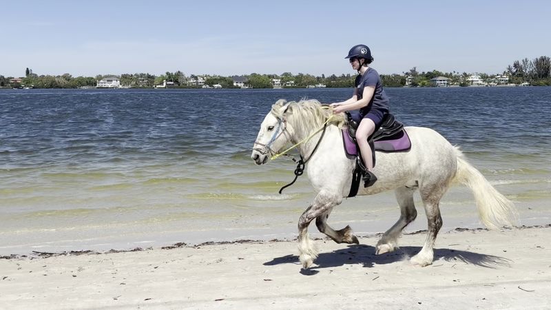 Galloping Down the Beach